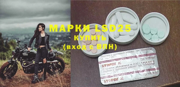 прущие грибы Алексин